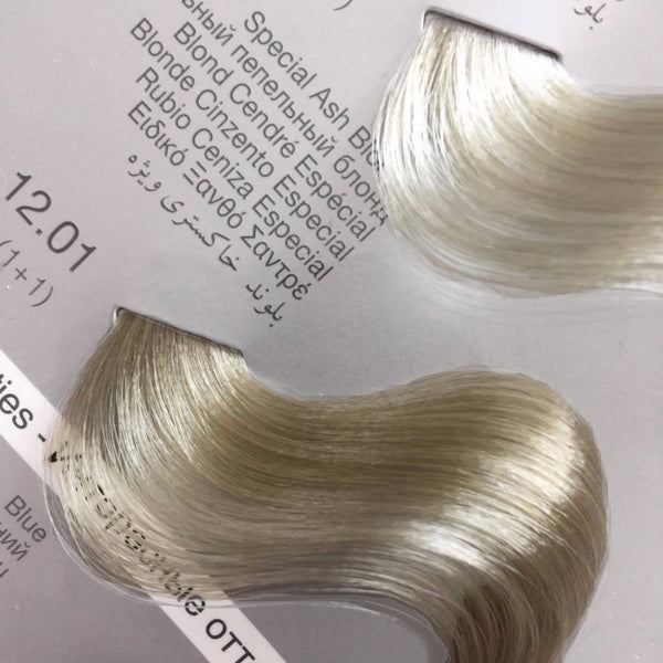 Tempting Professional Color System Special Ash Blonde 12.01